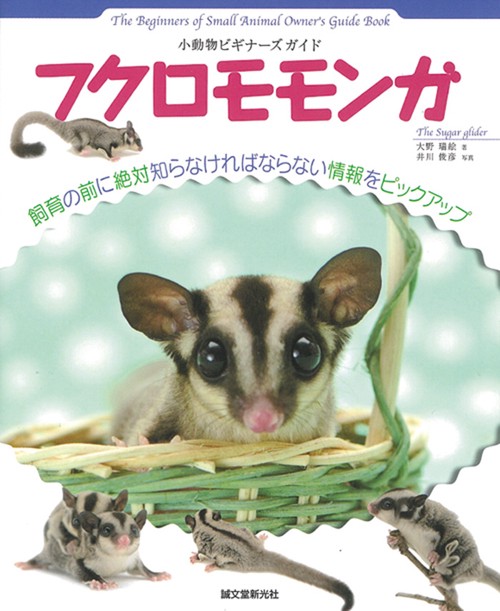 フクロモモンガ