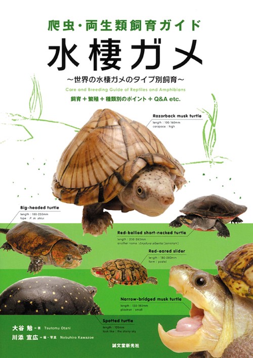 水棲ガメ 世界の水棲ガメのタイプ別飼育 飼育+繁殖+種類別のポイント+Q&A etc.