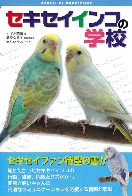 セキセイインコの学校