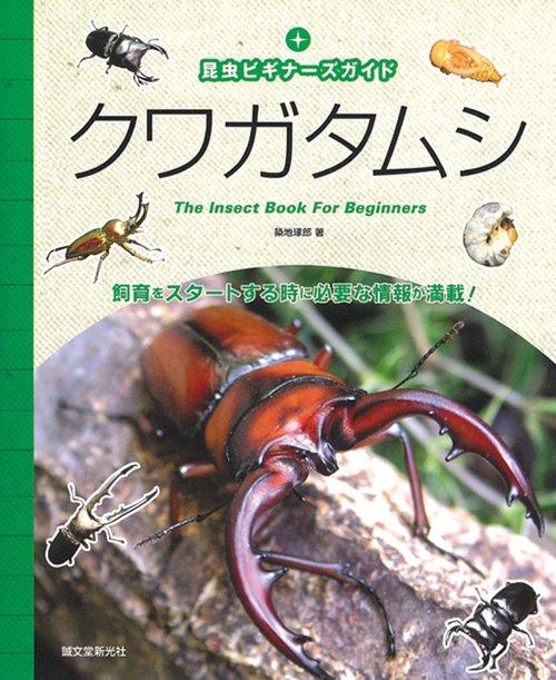 クワガタムシ 昆虫ビギナーズガイド 飼育をスタートする時に必要な情報が満載!