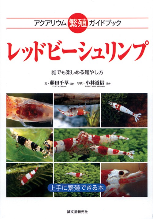 レッドビーシュリンプ アクアリウム繁殖ガイドブック 誰でも楽しめる殖やし方