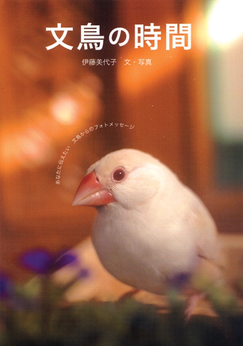 文鳥の時間 あなたに伝えたい文鳥からのフォトメッセージ
