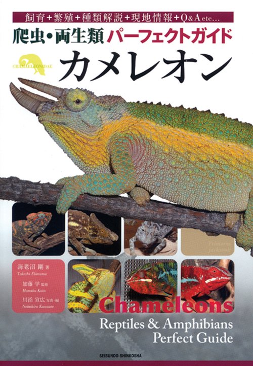 カメレオン 飼育+繁殖+種類解説+現地情報+Q&A etc…