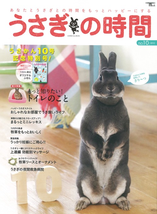 うさぎの時間 あなたとうさぎとの時間をもっとハッピーにする no.10(2012)
