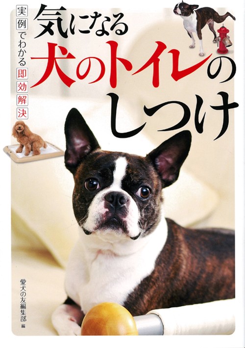 気になる犬のトイレのしつけ 実例でわかる即効解決