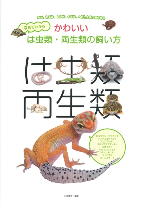写真でわかるかわいいは虫類・両生類の飼い方 カメ、カエル、トカゲ、イモリ、ヘビと上手に暮らせる