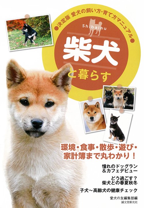 柴犬と暮らす