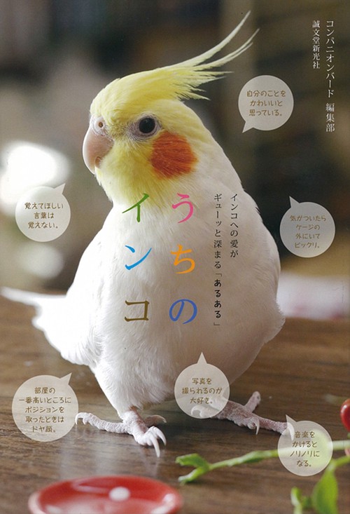 うちのインコ インコへの愛がギューッと深まる「あるある」