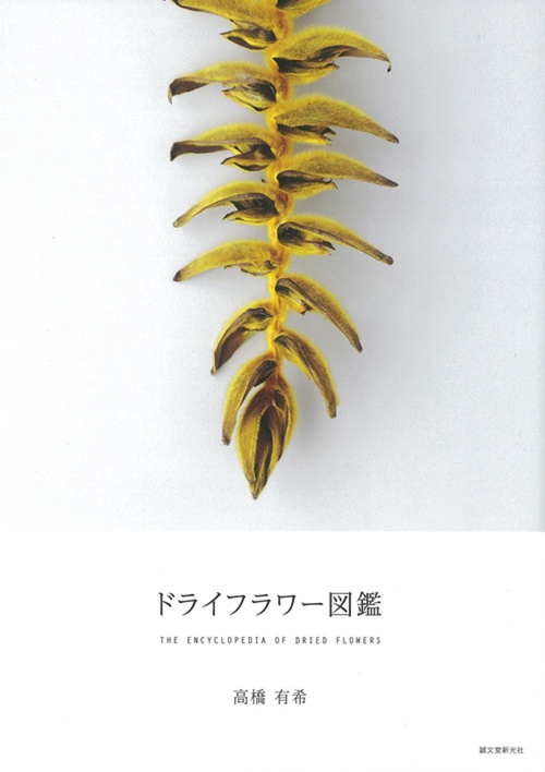 ドライフラワー図鑑