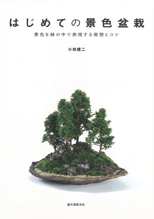 はじめての景色盆栽 景色を鉢の中で表現する発想とコツ