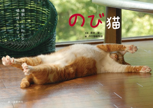のび猫 猫飼いしか知らない猫のばしのコツ。