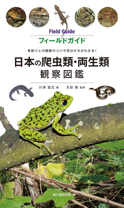 フィールドガイド日本の爬虫類・両生類観察図鑑 季節ごとの観察のコツや見分け方がわかる!
