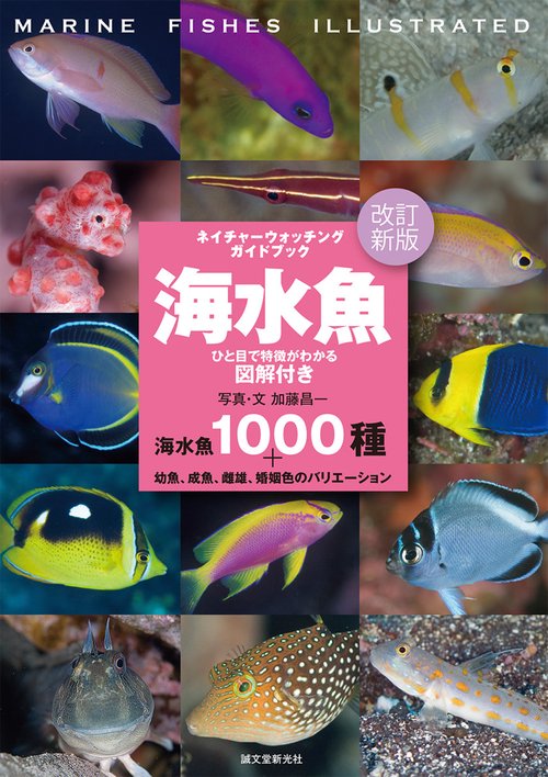 改訂新版 海水魚 ひと目で特徴がわかる図解付き
