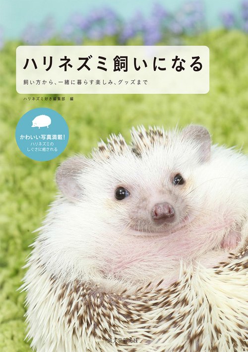 ハリネズミ飼いになる