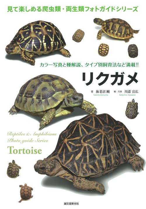 リクガメ カラー写真と種解説、タイプ別飼育法など満載!!