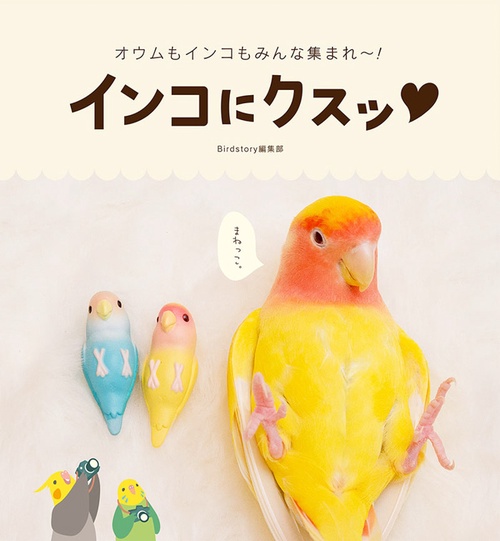 インコにクスッ オウムもインコもみんな集まれ〜!
