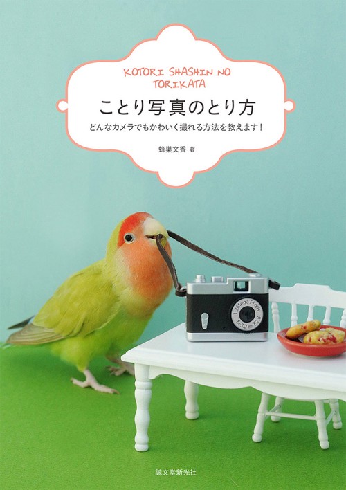 ことり写真のとり方 どんなカメラでもかわいく撮れる方法を教えます!