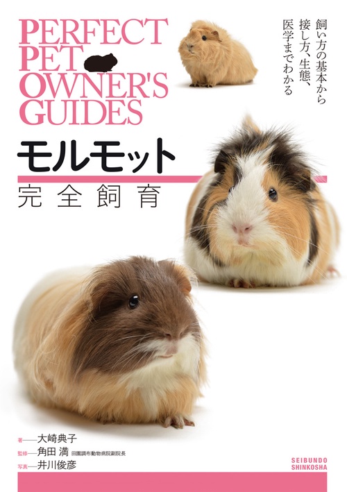 モルモット完全飼育