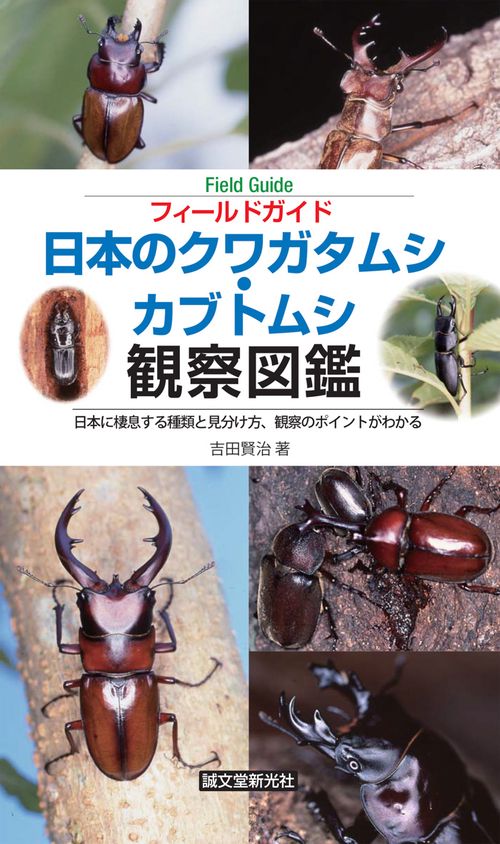 フィールドガイド日本のクワガタムシ・カブトムシ観察図鑑 日本に棲息する種類と見分け方、観察のポイントがわかる