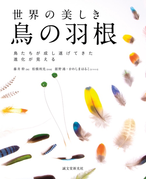 世界の美しき鳥の羽根 鳥たちが成し遂げてきた進化が見える