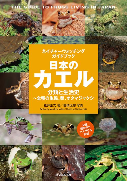 日本のカエル 分類と生活史〜全種の生態、卵、オタマジャクシ