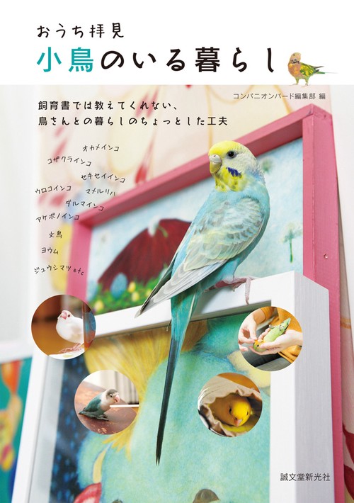 おうち拝見小鳥のいる暮らし 飼育書では教えてくれない、鳥さんとの暮らしのちょっとした工夫