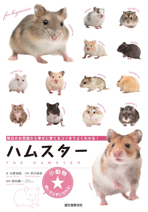 ハムスター