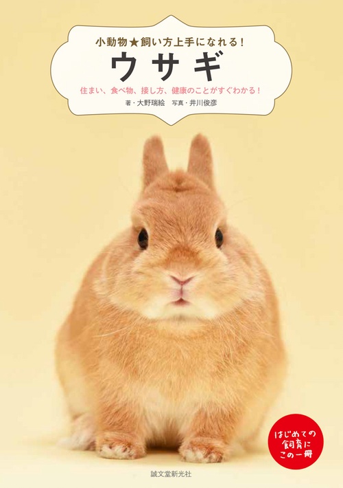 ウサギ 住まい、食べ物、接し方、健康のことがすぐわかる! はじめての飼育にこの1冊