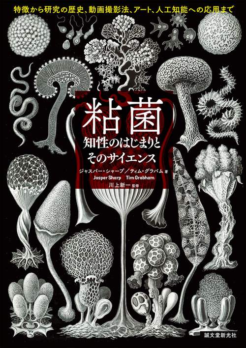 粘菌 知性のはじまりとそのサイエンス 特徴から研究の歴史、動画撮影法、アート、人工知能への応用まで