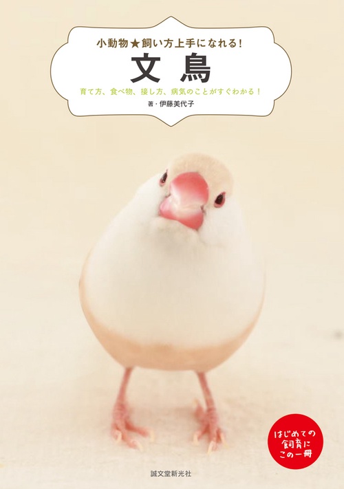 文鳥