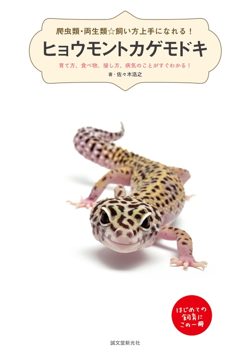 ヒョウモントカゲモドキ 育て方、食べ物、接し方、病気のことがすぐわかる! はじめての飼育にこの一冊