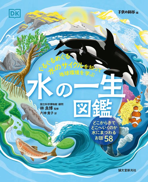 水の一生図鑑