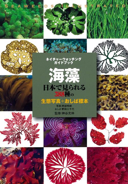 海藻