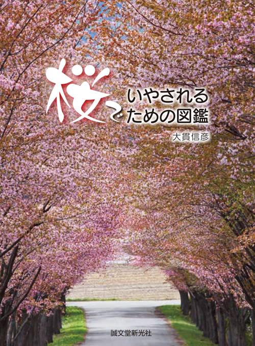 桜でいやされるための図鑑