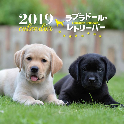 カレンダー '19 ラブラドール・レトリ