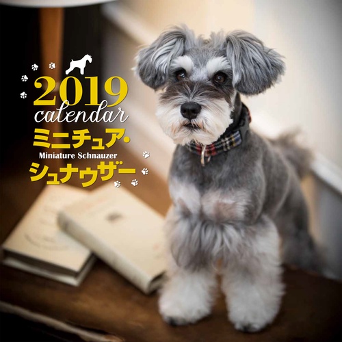 カレンダー '19 ミニチュア・シュナウ