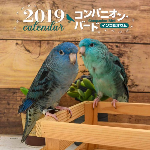 カレンダー '19 コンパニオン・バード