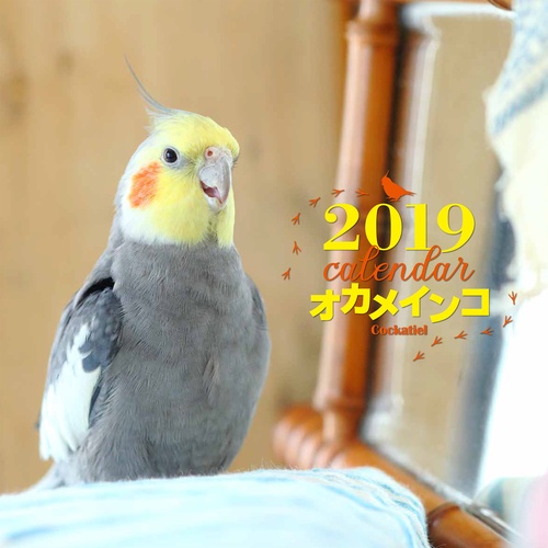 カレンダー '19 オカメインコ