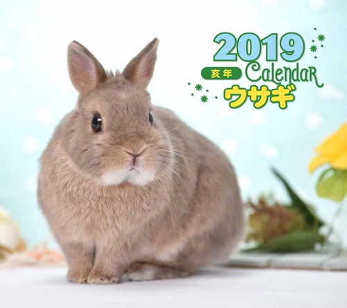 カレンダー '19 ウサギ ミニ