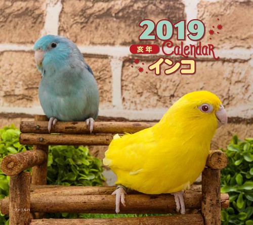カレンダー '19 インコ ミニ