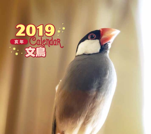 カレンダー '19 文鳥 ミニ