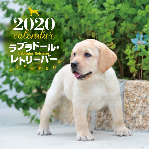 カレンダー '20 ラブラドール・レトリ