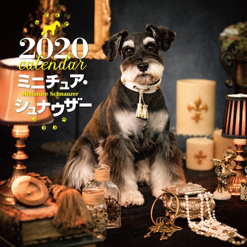 カレンダー '20 ミニチュア・シュナウ