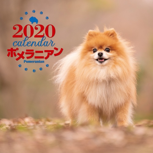カレンダー '20 ポメラニアン