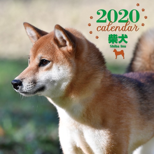 カレンダー '20 柴犬