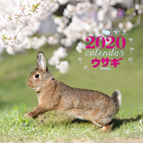 カレンダー '20 ウサギ
