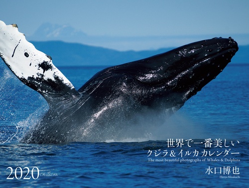 '20 世界で一番美しいクジラ&イルカカ