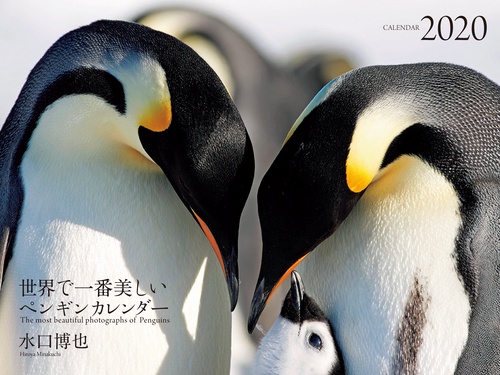 '20 世界で一番美しいペンギンカレンダ