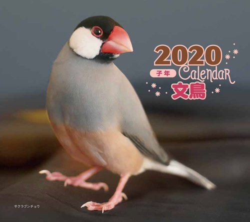 カレンダー '20 文鳥