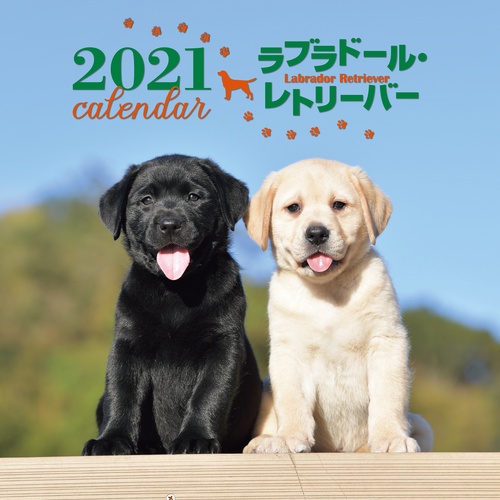 2021年 大判カレンダー ラブラドール・レトリーバー